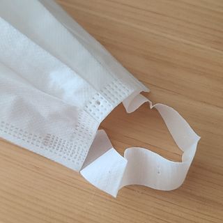 또리님이 올린 리뷰 사진 3