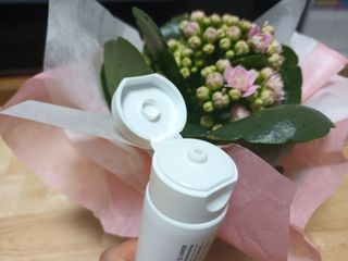 새돌댕댕님이 올린 리뷰 사진 3