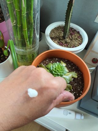다비다 피니시 크림 50ml — 5점을 준 리뷰어가 2022년 4월 올린 사용 사진