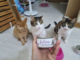 나매님이 올린 리뷰 사진 2
