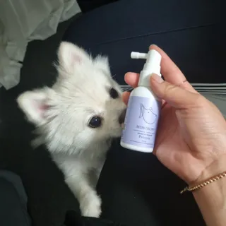 빵슬님이 올린 리뷰 사진 4