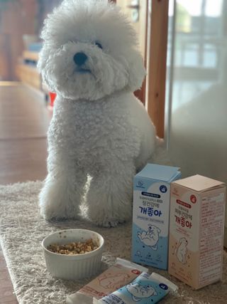 My Pet Care 모발과 모질 피부건강에 개좋아 — 5점을 준 리뷰어가 2021년 2월 올린 사용 사진