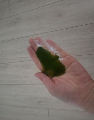 세젤당님이 올린 리뷰 사진 1