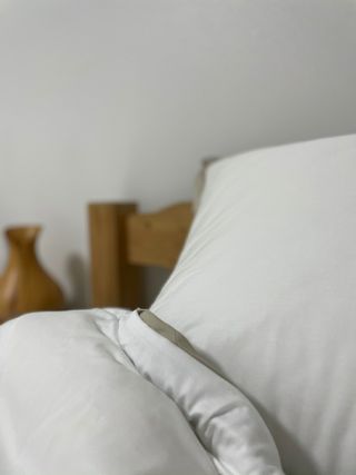 제주녀님이 올린 리뷰 사진 3