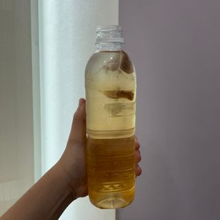 조아조아님이 올린 리뷰 사진 1