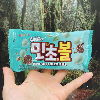 용한선생님님이 올린 리뷰 사진 4