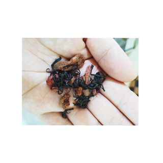 마시다 붉은 석양 빛을 담은 프리미엄 수제 블렌딩 홍차, 레드선셋블랙티 — 4.5점을 준 리뷰어가 2021년 3월 올린 사용 사진