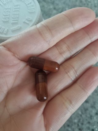 프리마인 홍삼의 강력한 에너지, 이제는 흡수율을 높인 최첨단 캡슐로 간편하게 초고속 충전하세요. — 5점을 준 리뷰어가 2022년 4월 올린 사용 사진