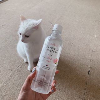 례진님이 올린 리뷰 사진 1