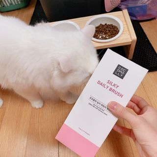 슈님이 올린 리뷰 사진 2