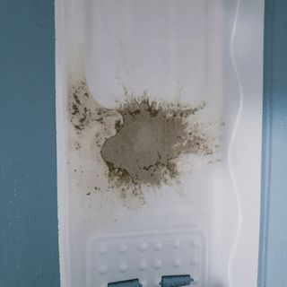 희블리님이 올린 리뷰 사진 3