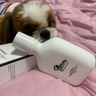 박코끼리님이 올린 리뷰 사진 1