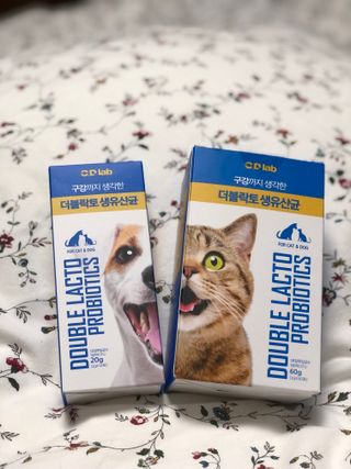씨디랩 구강에서 장까지 한 번에 관리하는 더블락토 강아지 고양이 유산균 — 4.5점을 준 리뷰어가 2021년 6월 올린 사용 사진
