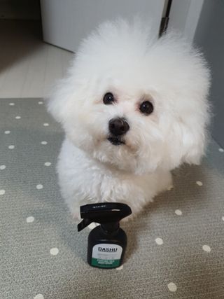 다슈코리아 다슈 솔루션 퍼퓸 데오 바디스프레이 프레쉬 그린 200ml — 5점을 준 리뷰어가 2021년 5월 올린 사용 사진