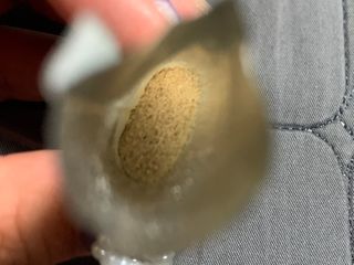 치치님이 올린 리뷰 사진 3