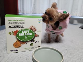 씨디랩 속이 편한 강아지 사료 소프트발란스 기호성 좋은 발효사료 피부와 위장 관절과 위장 — 4점을 준 리뷰어가 2021년 3월 올린 사용 사진