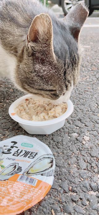 JennyJung님이 올린 리뷰 사진 1