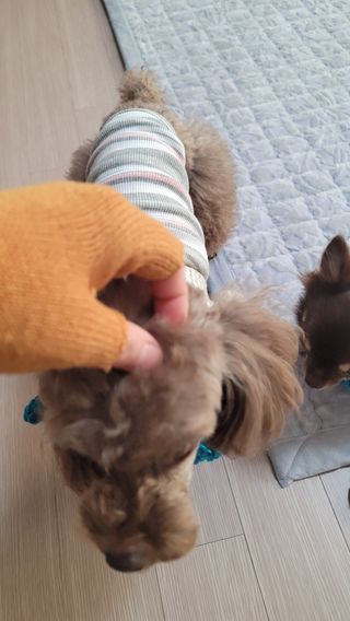 나초단맘님이 올린 리뷰 사진 3