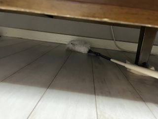 UmSunyoung님이 올린 리뷰 사진 4