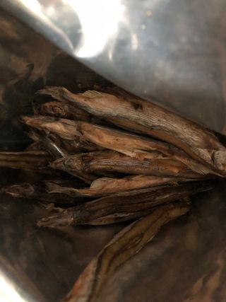 [펫시밀] 원물그대로 영양듬뿍 동결건조 왕북어트릿300g,왕치킨트릿400g,열빙어트릿300g 대용량 간식 — 5점을 준 리뷰어가 2023년 5월 올린 사용 사진