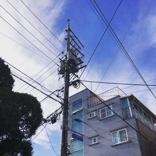 송이두님이 올린 리뷰 사진 1