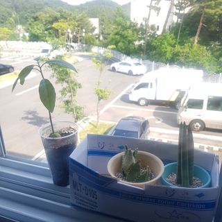 kktkim님이 올린 리뷰 사진 3