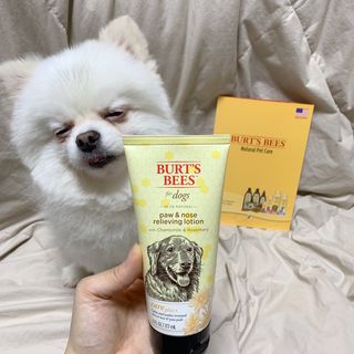 오랑이님이 올린 리뷰 사진 4