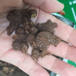 오뚜기님이 올린 리뷰 사진 4