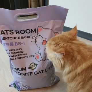 미미님이 올린 리뷰 사진 3