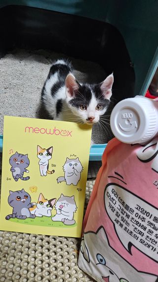 🎀딸 ♥️랑 🔆구🍭님이 올린 리뷰 사진 2