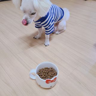 슝늉님이 올린 리뷰 사진 3