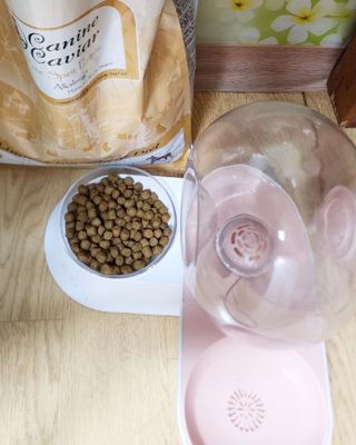 캐닌캐비어 알카라인 홀리스틱 그레이프리 앙뜨레 ALS_4종 오픈스카이, 와일드오션, 프리스피릿, 스페셜니즈 — 5점을 준 리뷰어가 2023년 2월 올린 사용 사진
