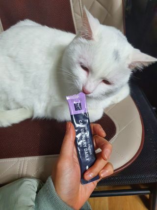 코코몰리 고양이 구강• 헤어볼 데일리 /신장• 요로 데일리 — 5점을 준 리뷰어가 2021년 1월 올린 사용 사진