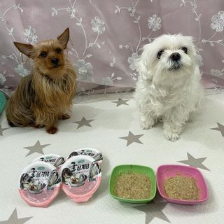 똥지님이 올린 리뷰 사진 1