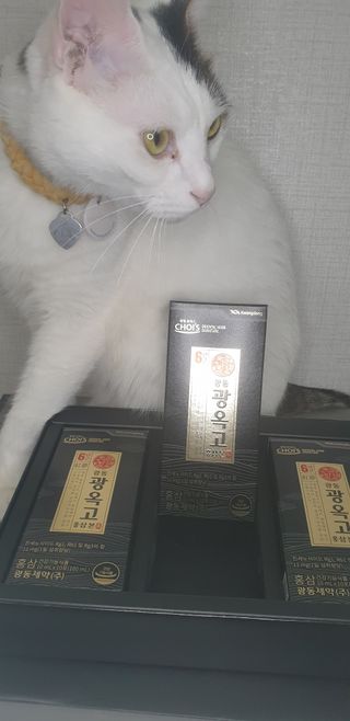 광동생활건강 [광동제약] 광동 광옥고 홍삼 본 30포 + 쇼핑백 증정 — 4점을 준 리뷰어가 2022년 5월 올린 사용 사진