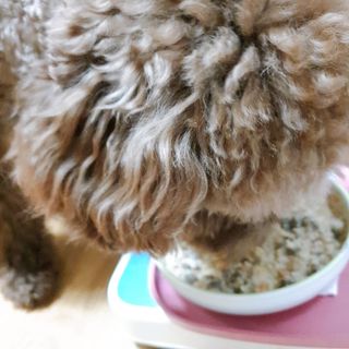 벼리님이 올린 리뷰 사진 3