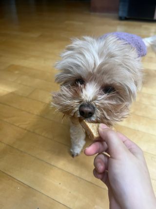 예나김님이 올린 리뷰 사진 3