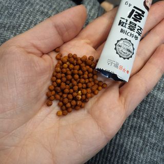 푸름웰니스 부아메라 프로폴리스 도라지 호흡편환 20포 — 5점을 준 리뷰어가 2022년 3월 올린 사용 사진