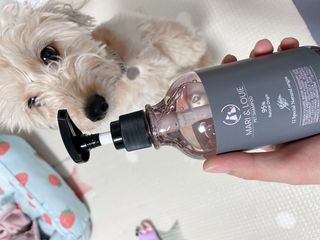 연쨩님이 올린 리뷰 사진 4