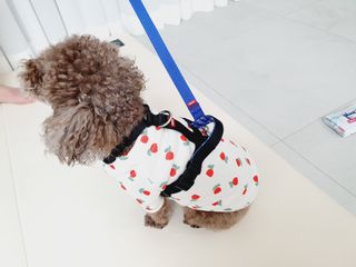 달콤오기님이 올린 리뷰 사진 4