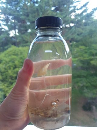 간절히바라던바다님이 올린 리뷰 사진 3