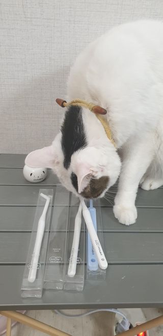 SeulonPark님이 올린 리뷰 사진 3