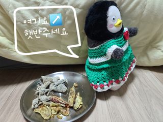 블리스펭님이 올린 리뷰 사진 4