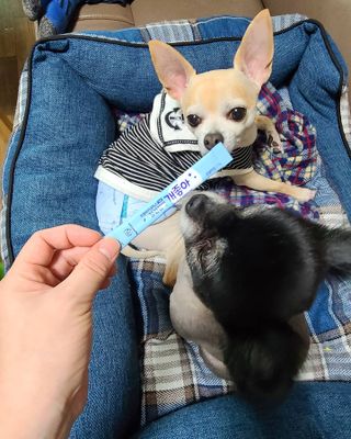 복덩이님이 올린 리뷰 사진 3