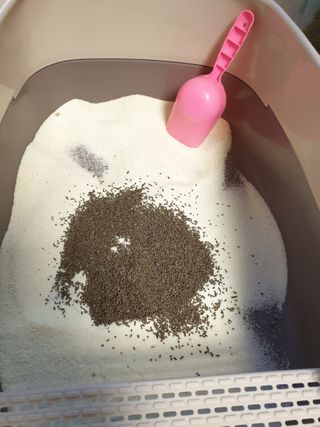 하루룽님이 올린 리뷰 사진 2
