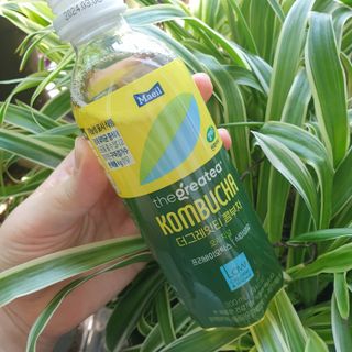더그레잇티 콤부차 [매일유업] 더그레잇티 44kcal 콤부차 300ml *12개입 (오리지널 6개+베리리치 6개) — 5점을 준 리뷰어가 2023년 7월 올린 사용 사진
