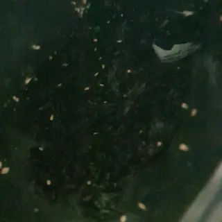 딸랑구둘🥰님이 올린 리뷰 사진 3