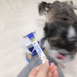 씨디랩 장 건강과 구강 건강을 한 번에 더블락토 강아지 고양이 유산균 — 5점을 준 리뷰어가 2021년 1월 올린 사용 사진
