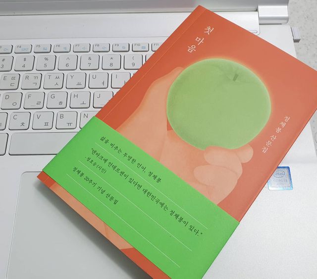 첫 마음 리뷰 사진