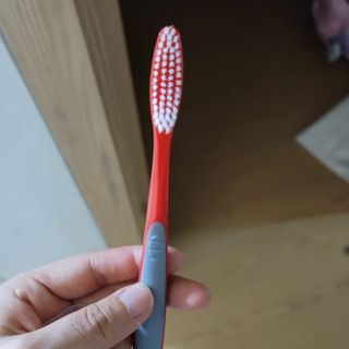 최강아키타견님이 올린 리뷰 사진 3